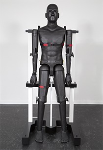 平博在线-平博在线（中国）
 全人体模型 POPEYE10